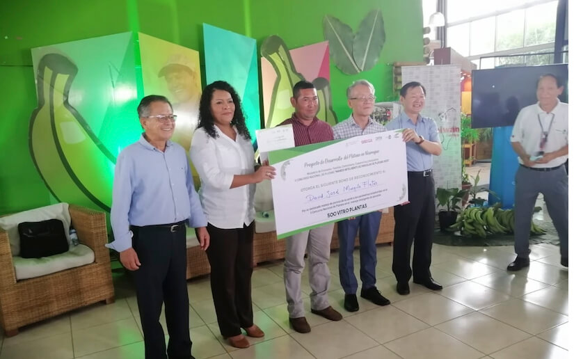 mefcca-concurso-platano